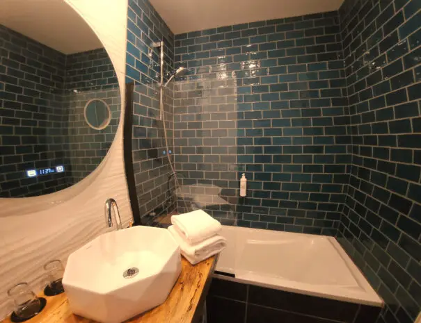 Hôtel Renaissance Castres - Salle de bain - New York